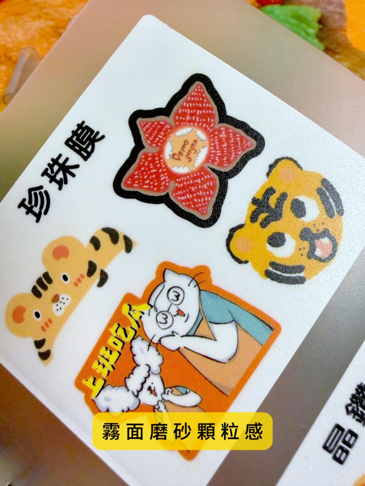 紙材的家