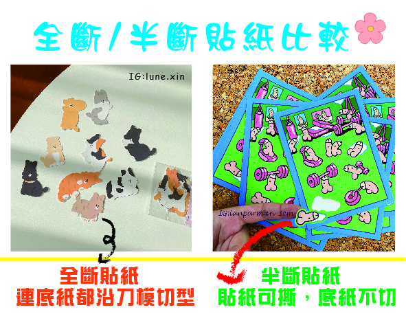 可以自由編排的圖鑑貼紙29X59CM-可半斷 或全斷