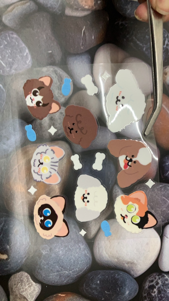 水晶圖鑑貼紙13X13  +背卡+OPP袋(含包裝)  6入/組